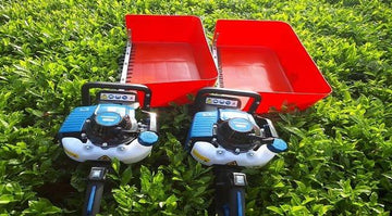 Malika MLK-HT01 1Hp 60cm Benzinli Çay Toplama Makinesi